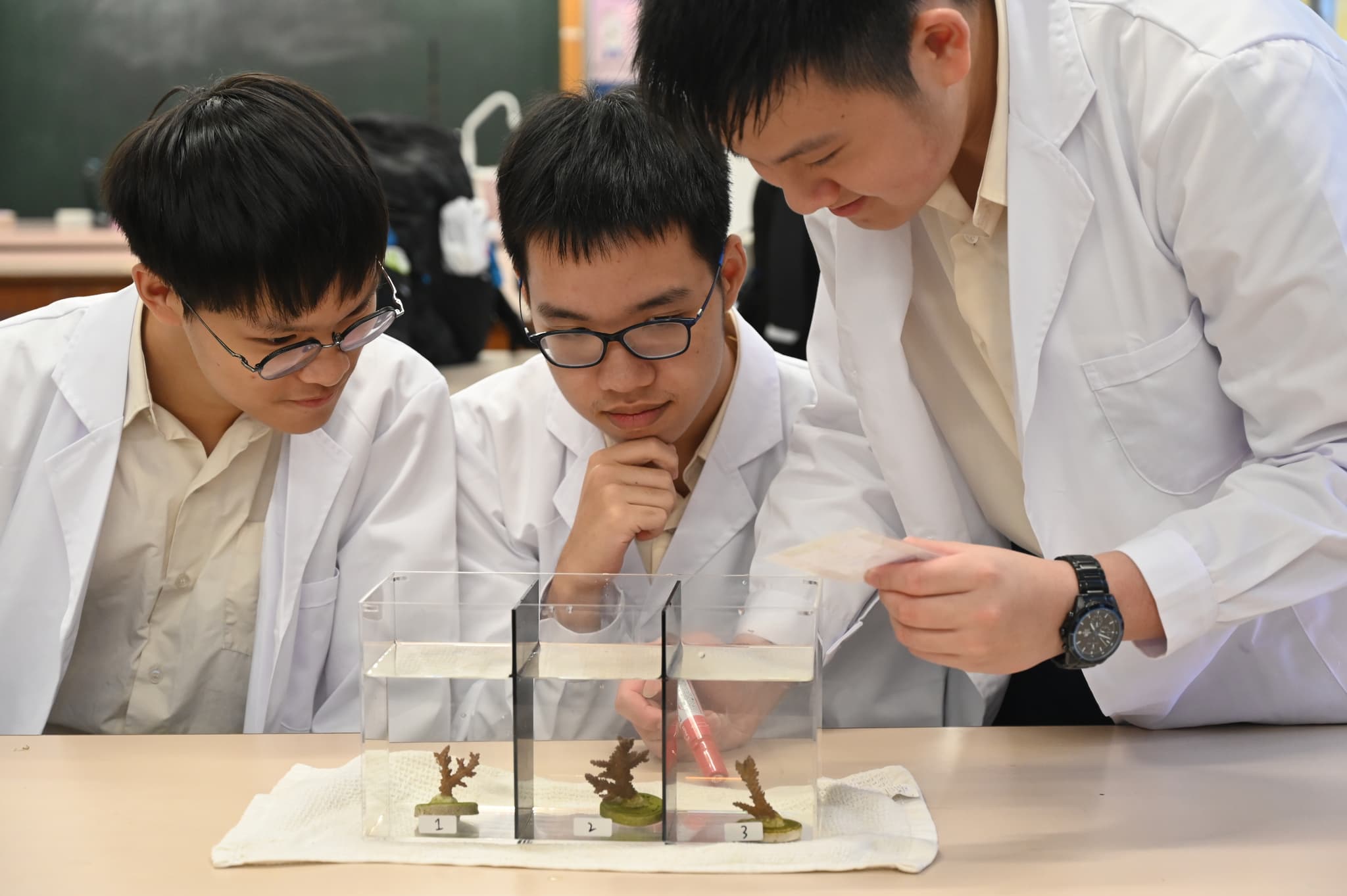 Smart Ocean Curriculum