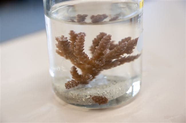 Smart Ocean course highlight 13