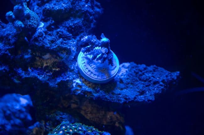 Smart Ocean course highlight 8